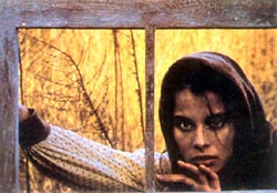 《德伯家的苔絲》