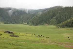 克魯格國家公園