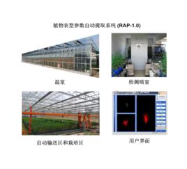 高通量植物表型平台 高通量植物表型平台