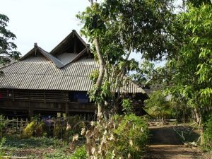 曼納傘村 曼納傘村