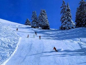 美麗的滑雪場