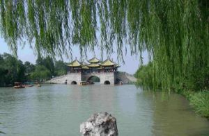 曲江垂釣 曲江垂釣