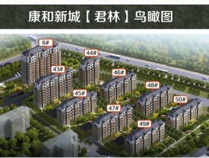 康和新城 康和新城