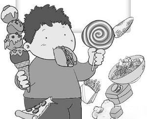 營養過剩型膳食結構 營養過剩型膳食結構