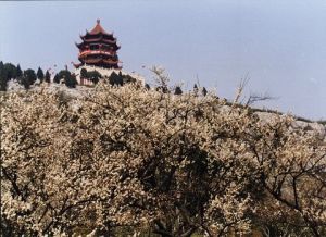 西山林屋洞旅遊指南