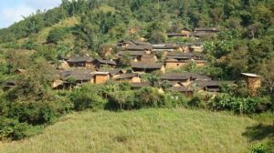 樹根自然村 樹根自然村