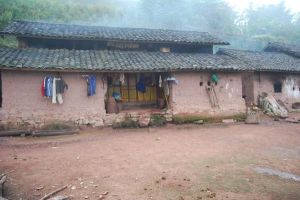 泡竹林村 泡竹林村