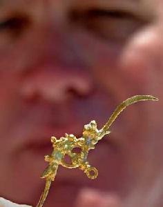 （圖）純金製成的牙籤和挖耳勺組合