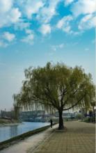 烏江鎮[安徽省和縣烏江鎮]