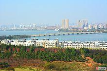 藏龍島濕地公園