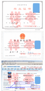 武漢大學二學位