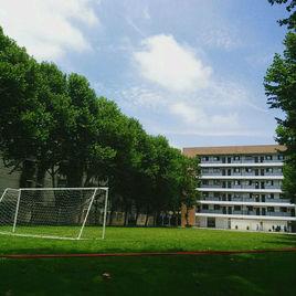 武漢市第四十三中學 武漢市第四十三中學