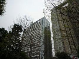 深圳市第四人民醫院 深圳市第四人民醫院