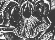 柯羅諾斯[動漫《聖鬥士星矢》系列最高神]