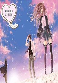 紫色海豚圈 紫色海豚圈