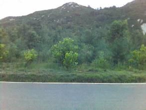 抱虎嶺景心角保護區 抱虎嶺景心角保護區