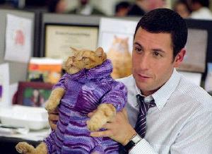 氣味相投[2003年美國電影]