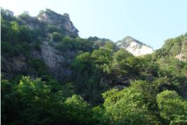 金龍山[甘肅天水金龍山]