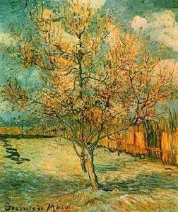 盛開的桃花 盛開的桃花