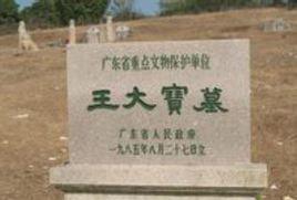 王大寶[宋朝大臣]