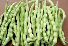 豆角