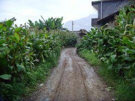 吉利村[雲南大關縣吉利鎮下轄村]