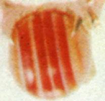 帶狀瑪瑙 帶狀瑪瑙