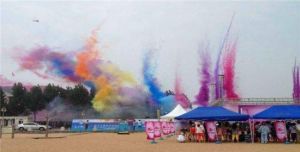 風行車思維車駕駛體驗俱樂部 風行車思維車駕駛體驗俱樂部