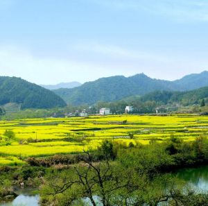 河上鎮[江西省撫州市崇仁縣]