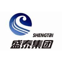 盛泰集團有限公司 盛泰集團有限公司