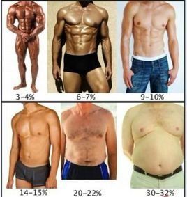 體脂率