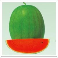 錦田超級黑佳人 錦田超級黑佳人