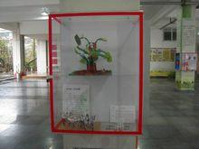 成都市人民北路國小