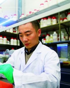 黃志偉[哈爾濱工業大學教授、博士生導師]