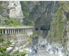 太魯閣苔草 太魯閣苔草