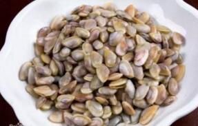 布目泊來櫻蛤 布目泊來櫻蛤