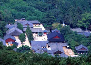 東來梵魚寺 東來梵魚寺