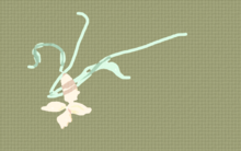 十二花神系列圖鑑--蘭花