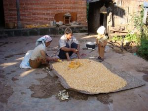 八路地村 八路地村