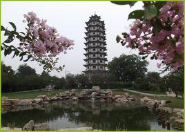 東皋公園 東皋公園