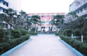 白花中學 白花中學