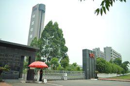 東莞快意電梯有限公司