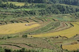 關家寨村自然資源-田野<a name="ref_[7]"></a>