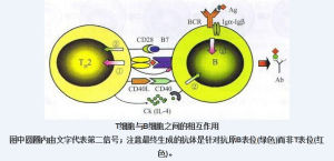 齊變模式 齊變模式