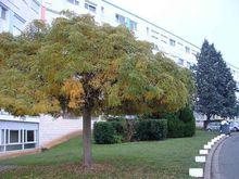 普瓦提埃大學Rablais學生公寓