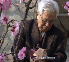 梅園中的陳俊愉先生