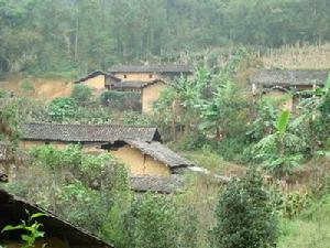 煤炭沖自然村 煤炭沖自然村