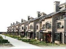 姚莊村[山東省棗莊市級索鎮下轄村]