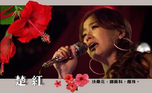 楚紅-小嫻飾