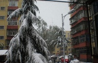 北分廠宿舍樓 北分廠宿舍樓